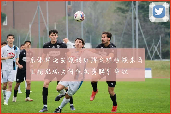 东体评论安佩姆红牌合理性埃朱马上轮犯规为何仅获黄牌引争议