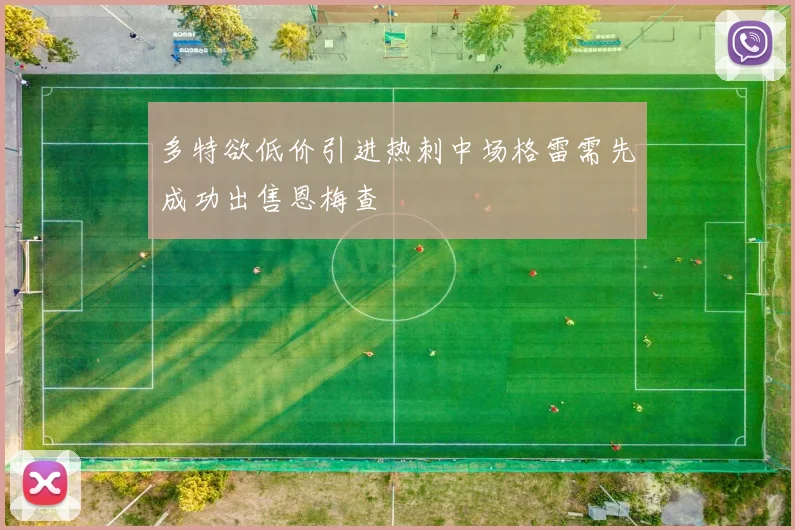 多特欲低价引进热刺中场格雷需先成功出售恩梅查